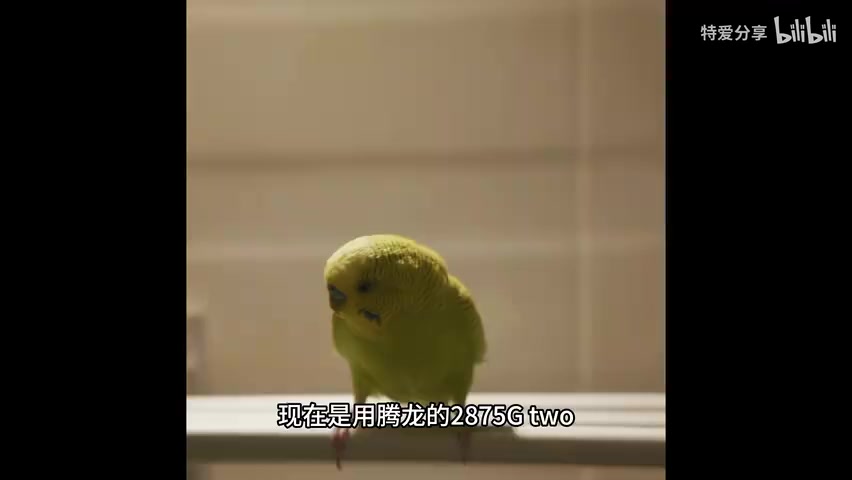腾龙28-75 G2镜头与尼康Z8机身