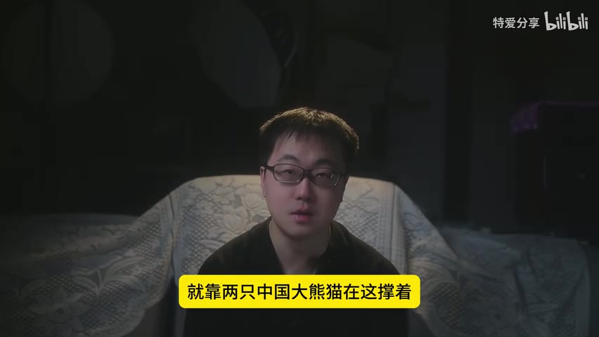 重庆动物园熊猫画面